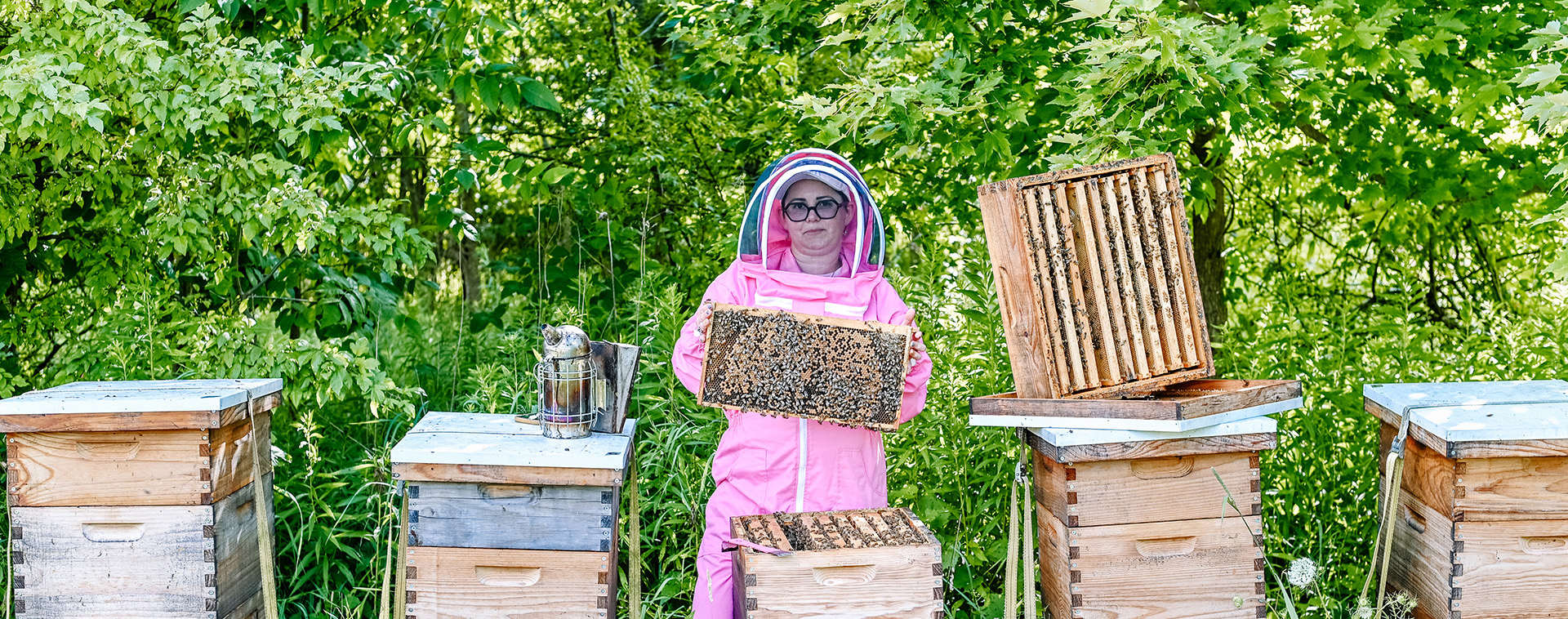 Jules Apiary – North Olmsted, OHIO